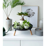 Yamazaki Countertop Pedestal Tray