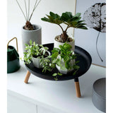 Yamazaki Countertop Pedestal Tray