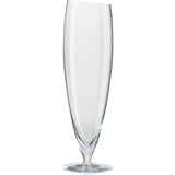 Eva Solo Beer Glass Set --Large 541112