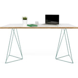 TemaHome Flow Desk | Pure White & Plywood / Sea Green Lacquered Steel 190040-FLOW
