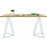 TemaHome Flow Desk | Oak / Sea Green Lacquered Steel 190040-FLOW