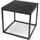Temahome Prairie 20x20 Marble End Table