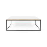 TemaHome Gleam 47x30 Coffee Table | Pure White & Plywood / Black Lacquered Steel 187042-GLEAM47