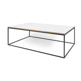 TemaHome Gleam 47x30 Coffee Table | Pure White & Plywood / Black Lacquered Steel 187042-GLEAM47