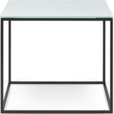 Temahome Gleam Glass Coffee & Side Table