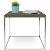 Temahome Gleam Coffee & Side Table
