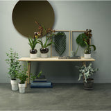 Eva Solo Selfwatering Orchid Pot | White --13cm 568148