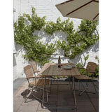 Skagerak Lilium Armchair