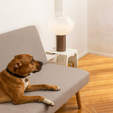Artemide Laguna Table Light | 18W E26 GOLD