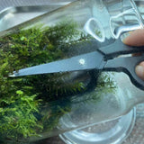 HMM Exacto Scissors White