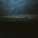 Pillbox Classic Paint Baseball Bats | Wonderboy