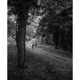 POC Octal X Spin (CPSC) Cycling Helmet