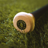 Pillbox Classic Paint Baseball Bats | Wonderboy