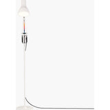 Anglepoise Type 75™ Floor Lamp | Anglepoise Plus Paul Smith