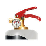 Safe-T Designer Fire Extinguisher | People -Dali SL1701