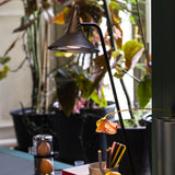 Artemide Unterlinden Table LED Light 7W Bronze