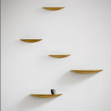 Menu Design Gridy Fungi Shelf