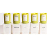 Brooklyn Candle Studio Chartreuse Candle | 10oz