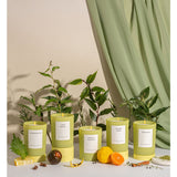 Brooklyn Candle Studio Chartreuse Candle | 10oz