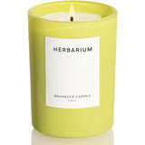 Brooklyn Candle Studio Chartreuse Candle | 10oz
