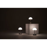 Seed Design Pensee LED Table Lamp