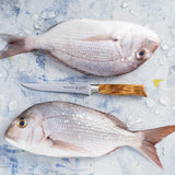 Messermeister Oliva Elite Boning Knife | 6"