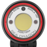 SeaLife Sea Dragon 3000F COB LED Photo/Video/Light Head | Auto