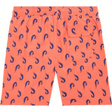 Tom & Teddy Men's Shrimp Swim Trunk Coral & Blue