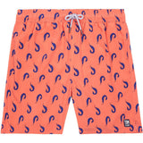 Tom & Teddy Men's Shrimp Swim Trunk Coral & Blue