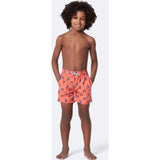 Tom & Teddy Boy's Shrimp Swim Trunk | Coral & Blue