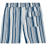 Tom & Teddy Men's Stripe Swim Trunk | Navy