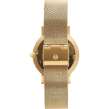 Shore Projects Abersoch Watch with Mesh Strap | Gold S020G