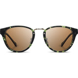 Shwood Ainsworth Acetate Sunglasses | Dark Forest & Matte Gold / Brown Polarized WAADFBP