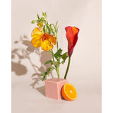 Brooklyn Candle Studio Bar Soap | Bergamot Neroli Pink Clay