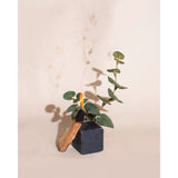 Brooklyn Candle Studio Bar Soap | Palo Santo Charcoal
