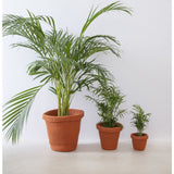 Lorena Canals Pot Basket | Terracotta, Set of 3 Sizes