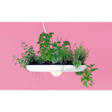 Object Interface Babylon Light | White BL1-W