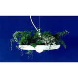 Object Interface Babylon Light | White BL1-W