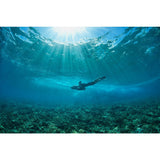 SEABOB F5 Jet Underwater Scooter