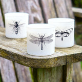 Skeem Design Triple Wick Citronella Candle