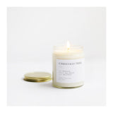 Brooklyn Candle Studio Minimalist Candle | Christmas Tree