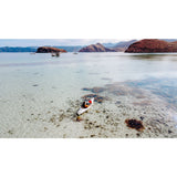 Oru Beach LT Folding Kayak | Orange/White