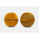 Bloon Edition Panaz - French Sitting Ball