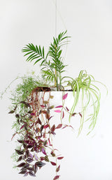 Object Interface Well Planter Light | White WPL-W