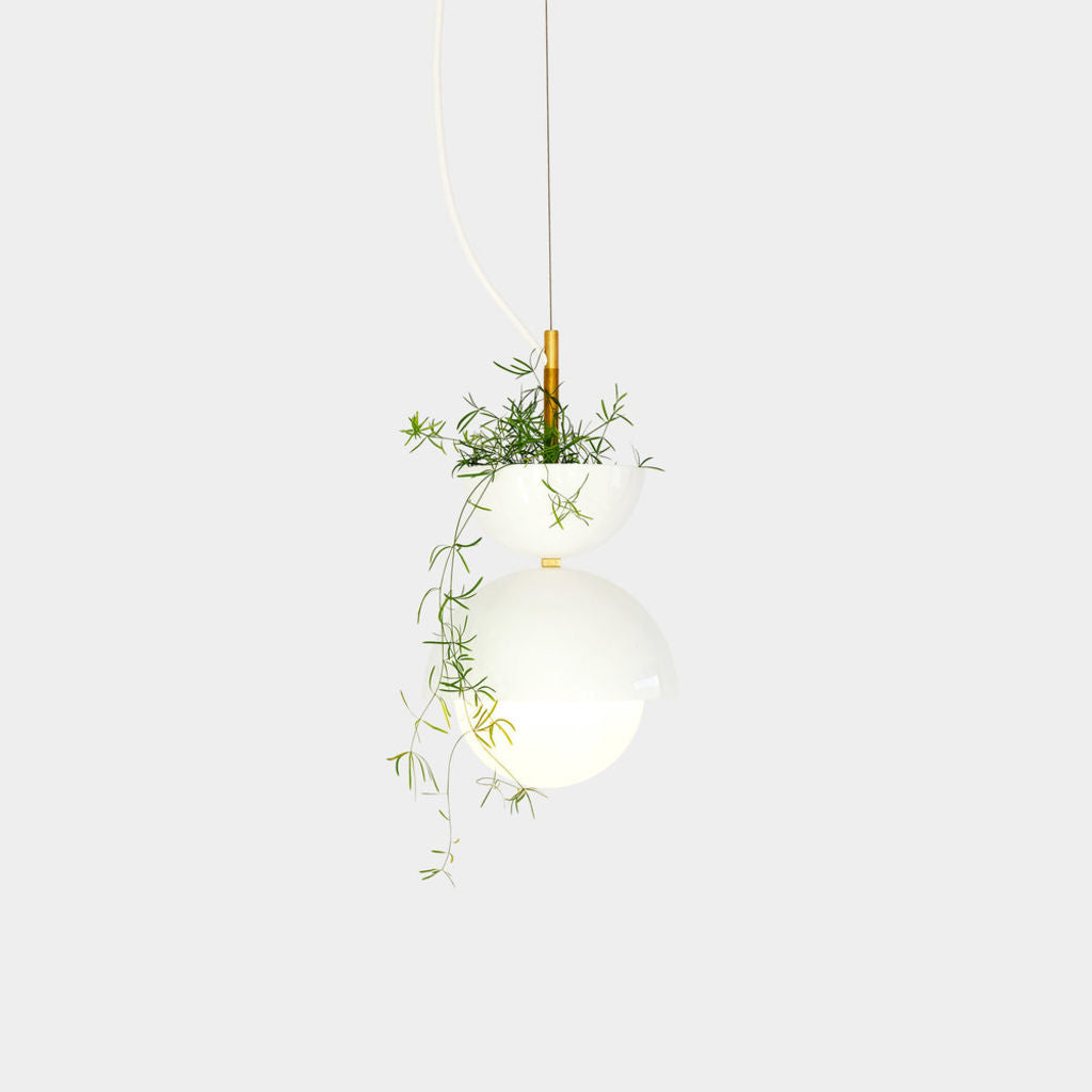 hanging light planter Object/Interface Hemisphere Pendant Light Planter White