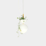 Object/Interface Hemisphere Pendant Light Planter | White HPP-W