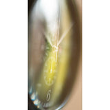 Armogan Spirit of St. Louis Chronograph Watch | Midnight Black FGSOSL03MB