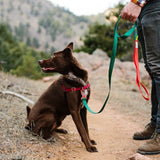 Topo Designs Carabiner Dog Leash