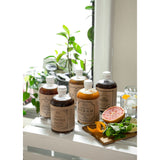 Anima Mundi Herbals Soma Mushroom Anti Biotic Elixir | 4oz