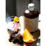 Anima Mundi Herbals Soma Mushroom Anti Biotic Elixir | 4oz